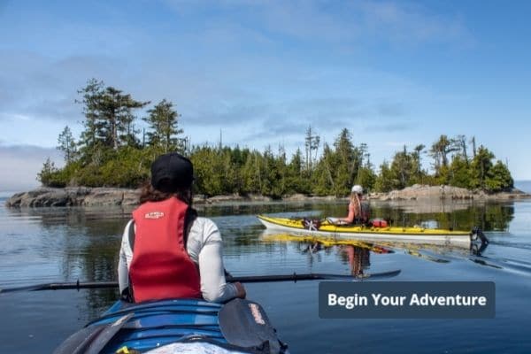 Kayak With Whales - Begin Your Adventure