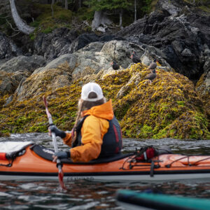 Kayaking in Haida Gwaii