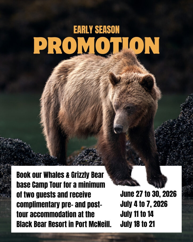 Early Season Promotion