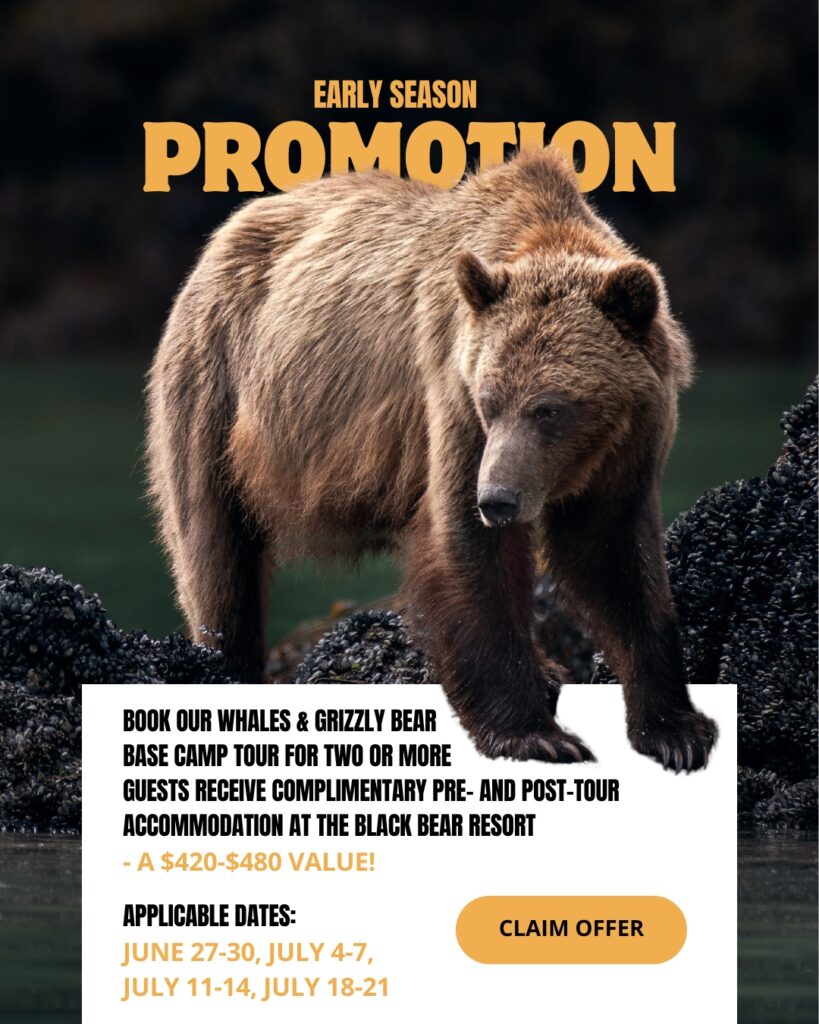 Early Season Promotion